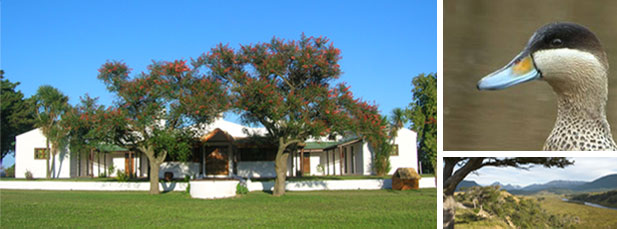 HM Paradores, Argentine