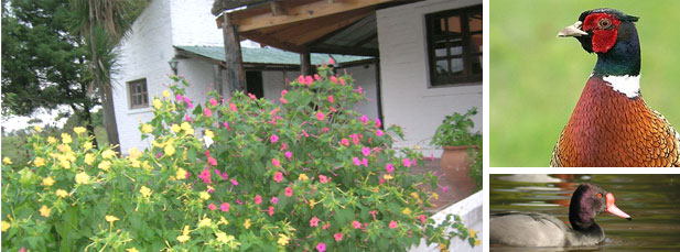 HM Paradores, Argentine